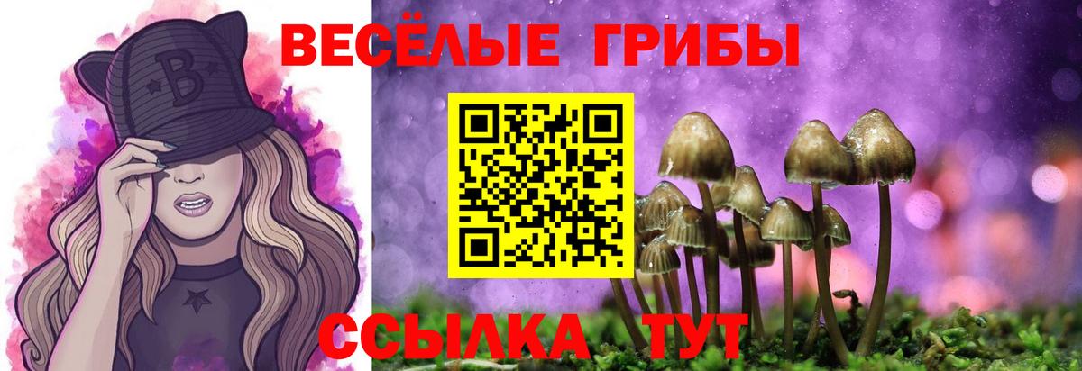 Псилоцибиновые грибы мухоморы Саратов